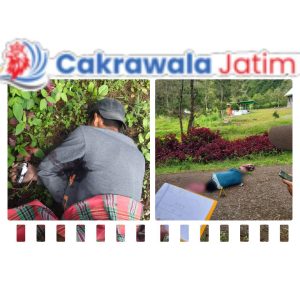 IMG-20250608-WA0044_hud4XLOw2J_Pd8DxebB93_FmDoOBeU0c