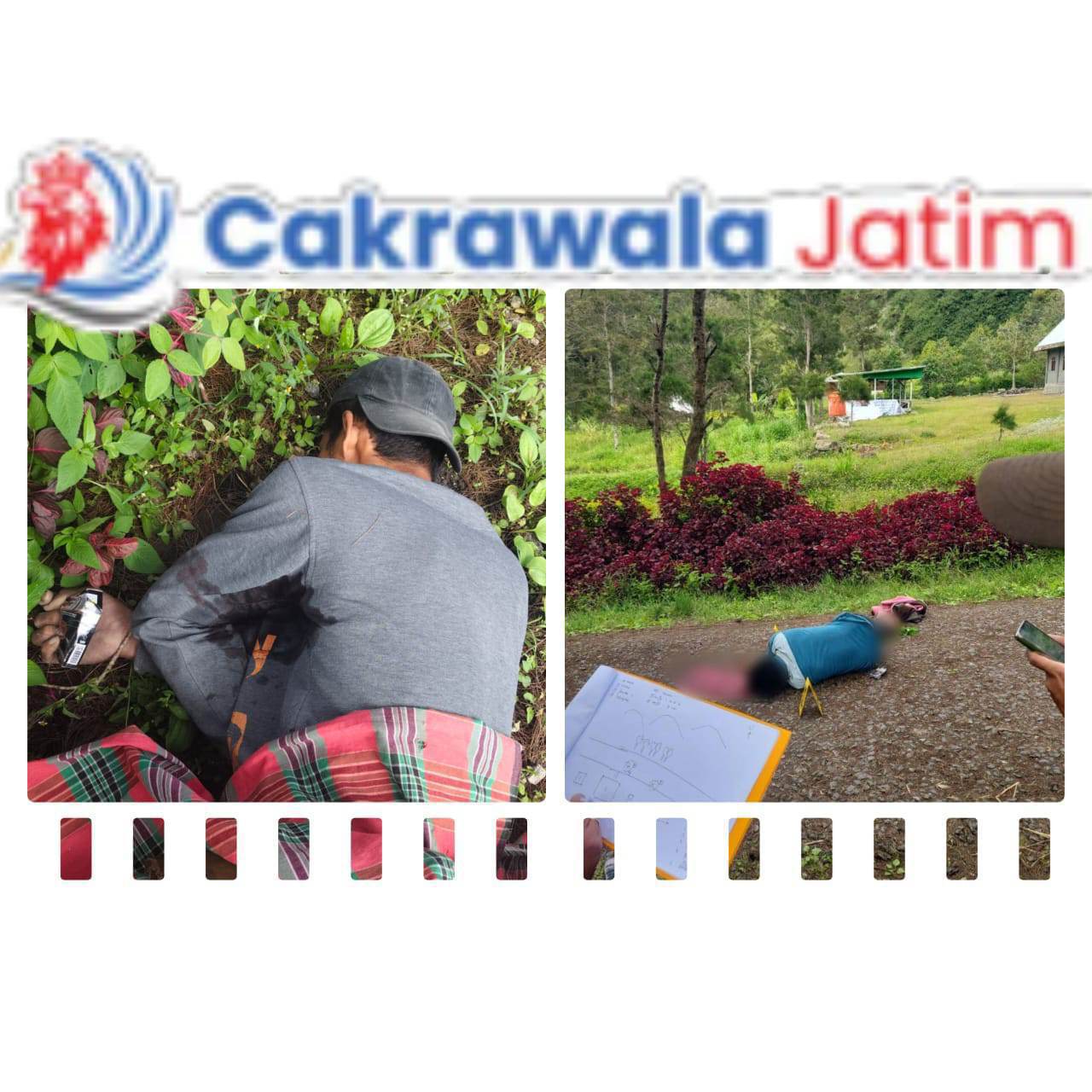 IMG-20250608-WA0044_hud4XLOw2J_Pd8DxebB93_FmDoOBeU0c