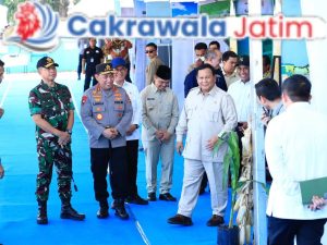 IMG-20250608-WA0049_plxDWG1j6w