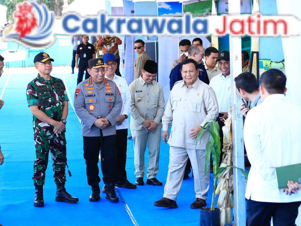 IMG-20250608-WA0049_plxDWG1j6w