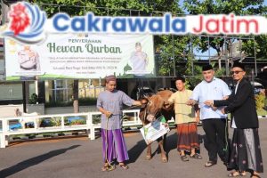 IMG-20250608-WA0054_i5DGAI0V91_MkYFYqyn7f