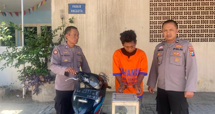 IMG-20251014-WA0160(1)