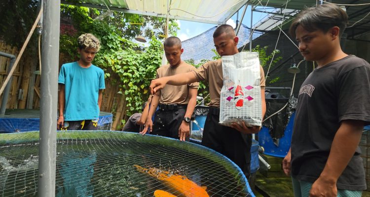 IMG-20251105-WA0084(1)