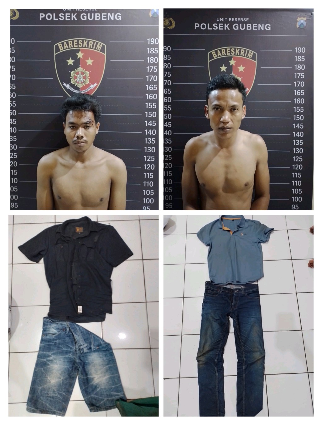 IMG_20251205_132459_copy_1024x1351