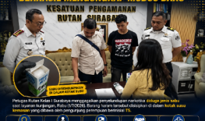 file_00000000d57871fd85b0d26b685d30de_copy_358x477