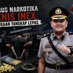file_0000000093cc81fdb9cd5e7ddd5557a0_copy_477x358